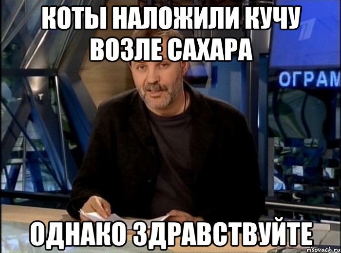 Коты наложили кучу возле сахара Однако здравствуйте, Мем Однако Здравствуйте