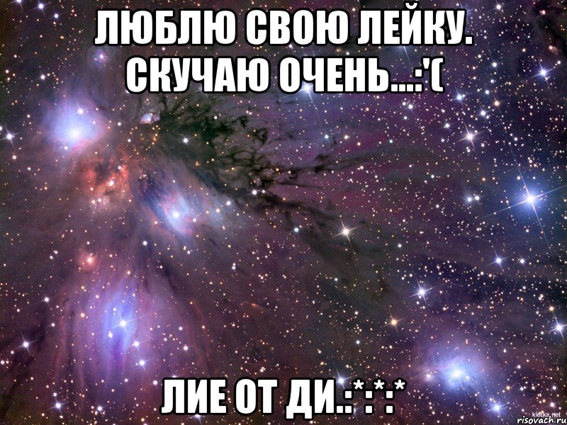 Люблю свою Лейку. Скучаю очень...:'( Лие от Ди.:*:*:*, Мем Космос