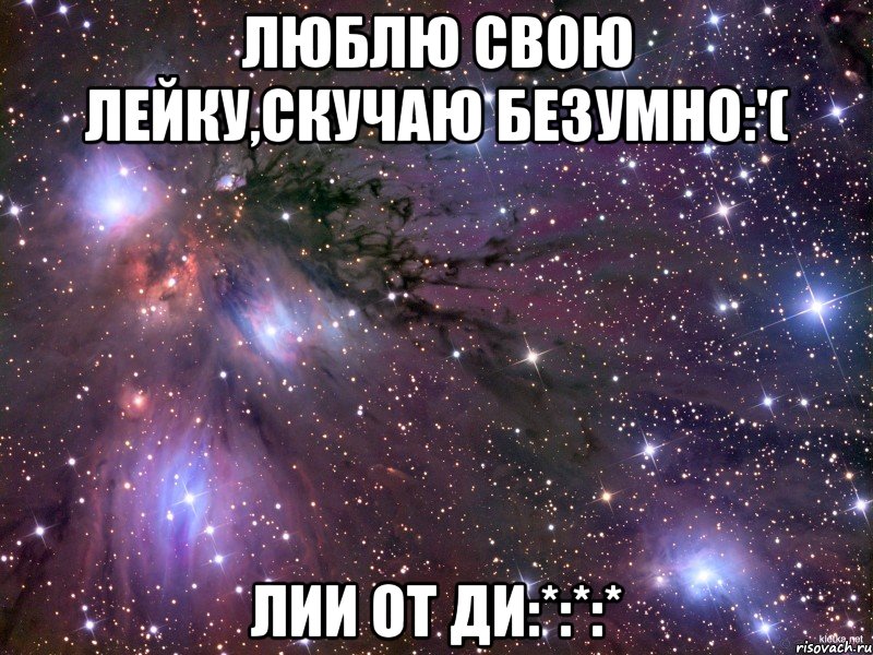 Люблю свою Лейку,скучаю безумно:'( Лии от Ди:*:*:*, Мем Космос