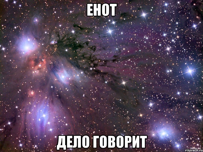 Енот Дело говорит, Мем Космос