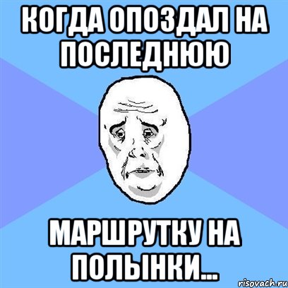 когда опоздал на последнюю маршрутку на полынки..., Мем Okay face