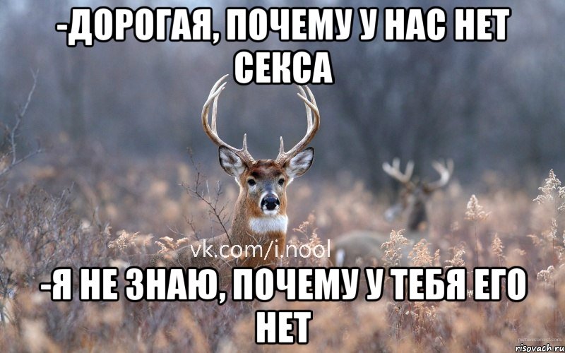 -дорогая, почему у нас нет секса -я не знаю, почему у тебя его нет, Мем   Наивный олень