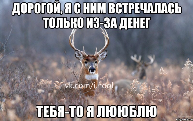 дорогой, я с ним встречалась только из-за денег тебя-то я лююблю, Мем   Наивный олень