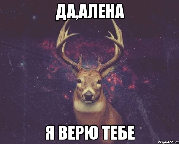 да,алена я верю тебе