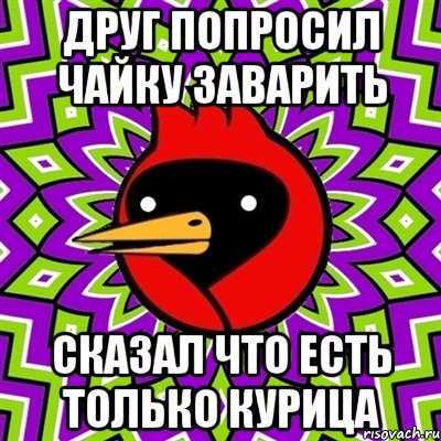 Друг попросил чайку заварить Сказал что есть только курица, Мем Омская птица