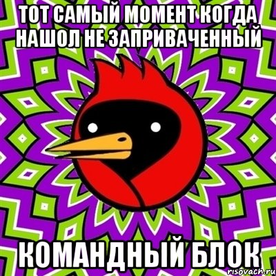 тот самый момент когда нашол не заприваченный командный блок, Мем Омская птица