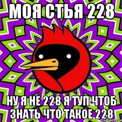 моя стья 228 ну я не 228 я туп чтоб знать что такое 228, Мем Омская птица