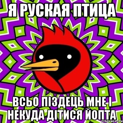 я руская птица всьо піздець мне і некуда дітися йопта, Мем Омская птица