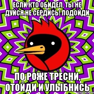 Если кто обидел, ты не дуйся не сердись! подойди по роже тресни, отойди и улыбнись, Мем Омская птица