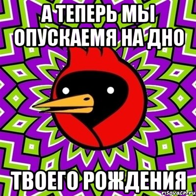 А теперь мы опускаемя на дно твоего рождения, Мем Омская птица