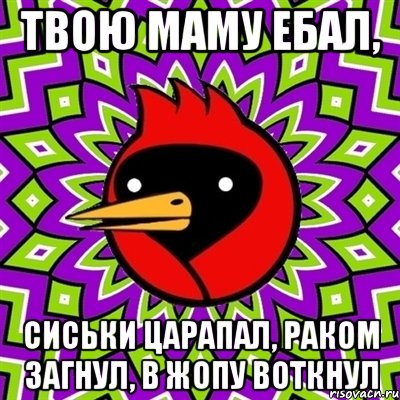 твою маму ебал, сиськи царапал, раком загнул, в жопу воткнул, Мем Омская птица