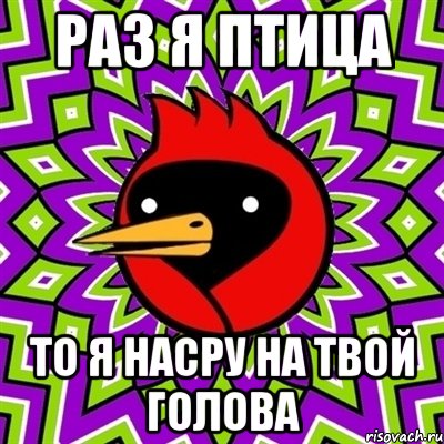 раз я птица то я насру на твой голова, Мем Омская птица