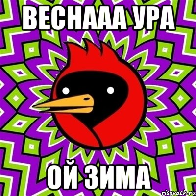 Веснааа ура Ой зима, Мем Омская птица