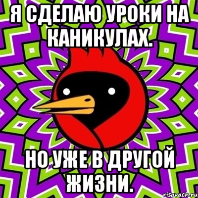 Я сделаю уроки на каникулах. но уже в другой жизни., Мем Омская птица