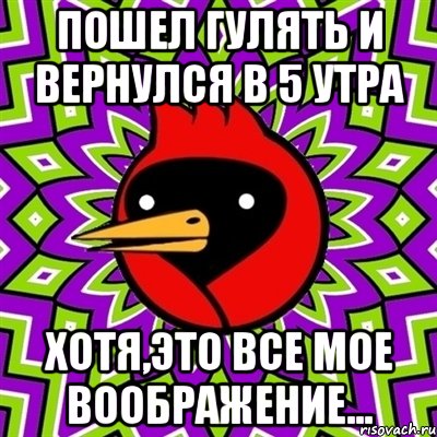 ПОШЕЛ ГУЛЯТЬ И ВЕРНУЛСЯ В 5 УТРА ХОТЯ,ЭТО ВСЕ МОЕ ВООБРАЖЕНИЕ..., Мем Омская птица