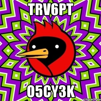 TRv6pt O5cY3k, Мем Омская птица