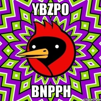 ybZpO BnPPh, Мем Омская птица