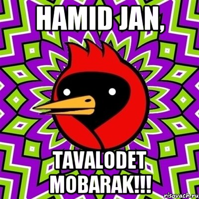 Hamid jan, Tavalodet mobarak!!!, Мем Омская птица