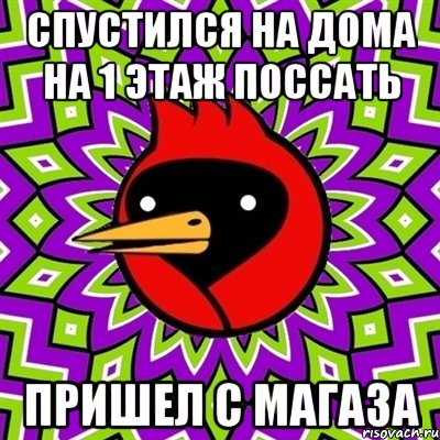 спустился на дома на 1 этаж поссать пришел с магаза, Мем Омская птица