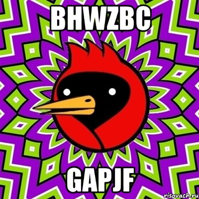 BHWzBC gapJF, Мем Омская птица