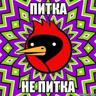 ПИТКА НЕ ПИТКА, Мем Омская птица