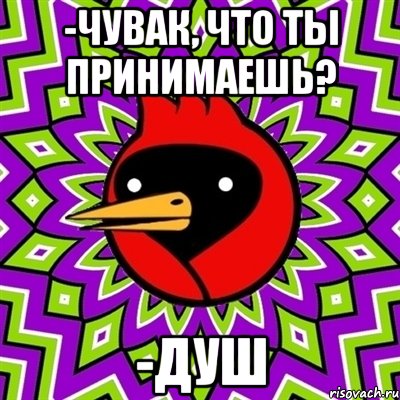 -Чувак, что ты принимаешь? -Душ, Мем Омская птица