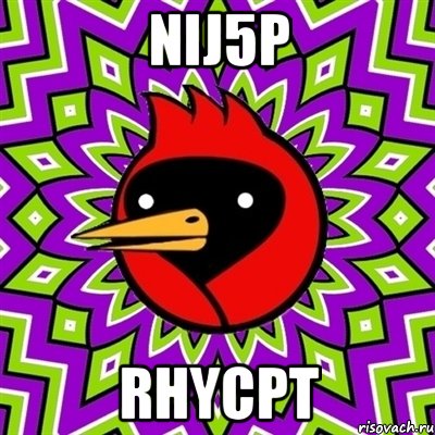 Nij5p rhyCpT, Мем Омская птица