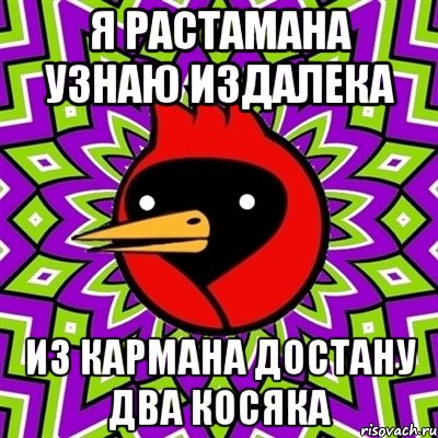 Я РАСТАМАНА УЗНАЮ ИЗДАЛЕКА ИЗ КАРМАНА ДОСТАНУ ДВА КОСЯКА, Мем Омская птица