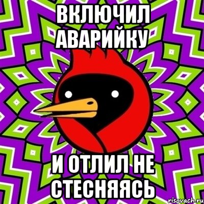 Включил аварийку и отлил не стесняясь, Мем Омская птица