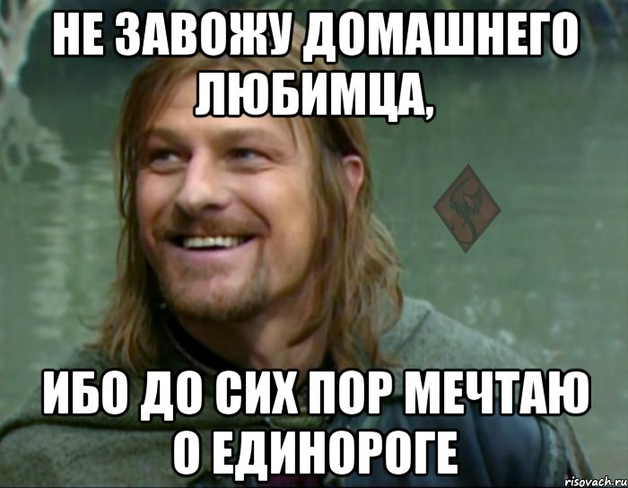 не завожу домашнего любимца, ибо до сих пор мечтаю о единороге, Мем ОР Тролль Боромир