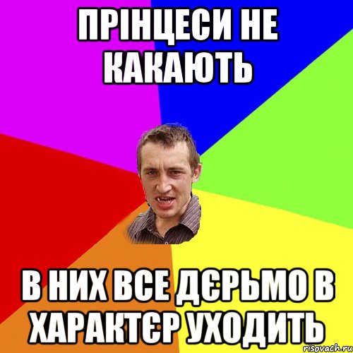 прінцеси не какають в них все дєрьмо в характєр уходить, Мем Чоткий паца