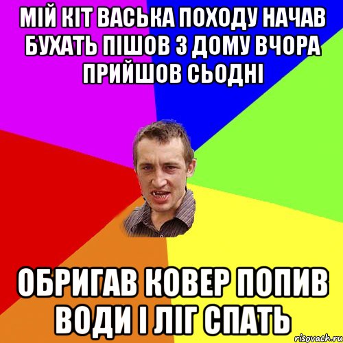 Мій кіт Васька походу начав бухать пішов з дому вчора прийшов сьодні обригав ковер попив води і ліг спать, Мем Чоткий паца