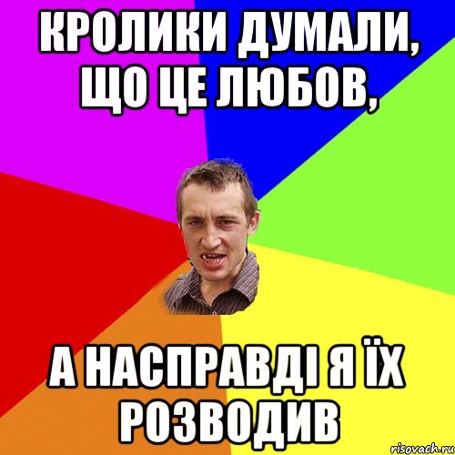 Кролики думали, що це любов, а насправді я їх розводив, Мем Чоткий паца