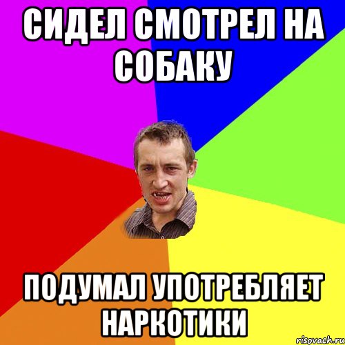 Сидел смотрел на собаку Подумал употребляет наркотики, Мем Чоткий паца