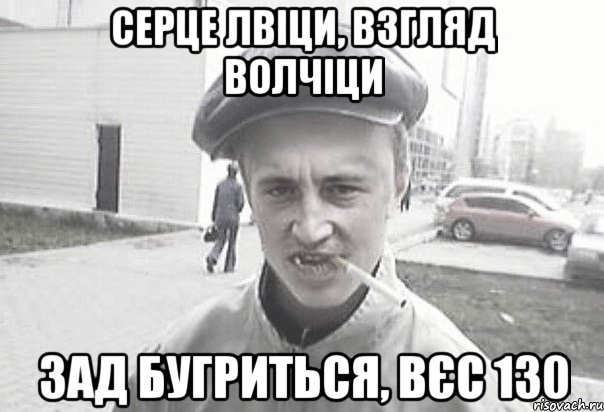 Серце лвіци, взгляд волчіци зад бугриться, вєс 130, Мем Пацанська философия