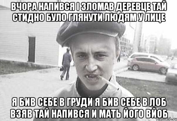 ВЧОРА НАПИВСЯ І ЗЛОМАВ ДЕРЕВЦЕ ТАЙ СТИДНО БУЛО ГЛЯНУТИ ЛЮДЯМ У ЛИЦЕ Я БИВ СЕБЕ В ГРУДИ Я БИВ СЕБЕ В ЛОБ ВЗЯВ ТАЙ НАПИВСЯ И МАТЬ ЙОГО ВЙОБ, Мем Пацанська философия