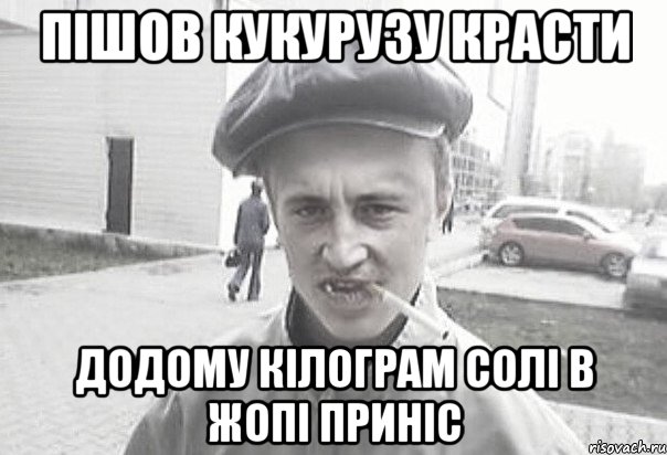 пішов кукурузу красти додому кілограм солі в жопі приніс, Мем Пацанська философия