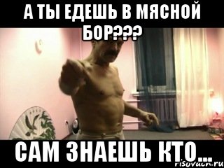 А ты едешь в мясной бор??? Сам знаешь кто..., Мем Паскуда тварь