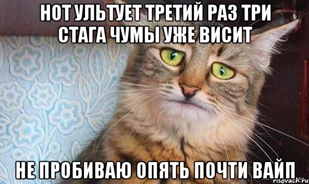 Нот ультует третий раз Три стага чумы уже висит Не пробиваю Опять почти вайп, Мем  кот печаль