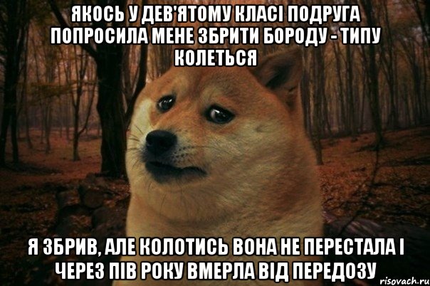 якось у дев'ятому класі подруга попросила мене збрити бороду - типу колеться я збрив, але колотись вона не перестала і через пів року вмерла від передозу, Мем SAD DOGE