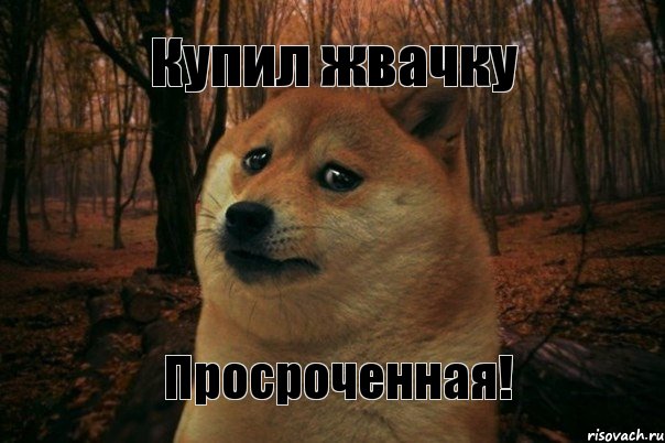 Купил жвачку Просроченная!, Мем SAD DOGE