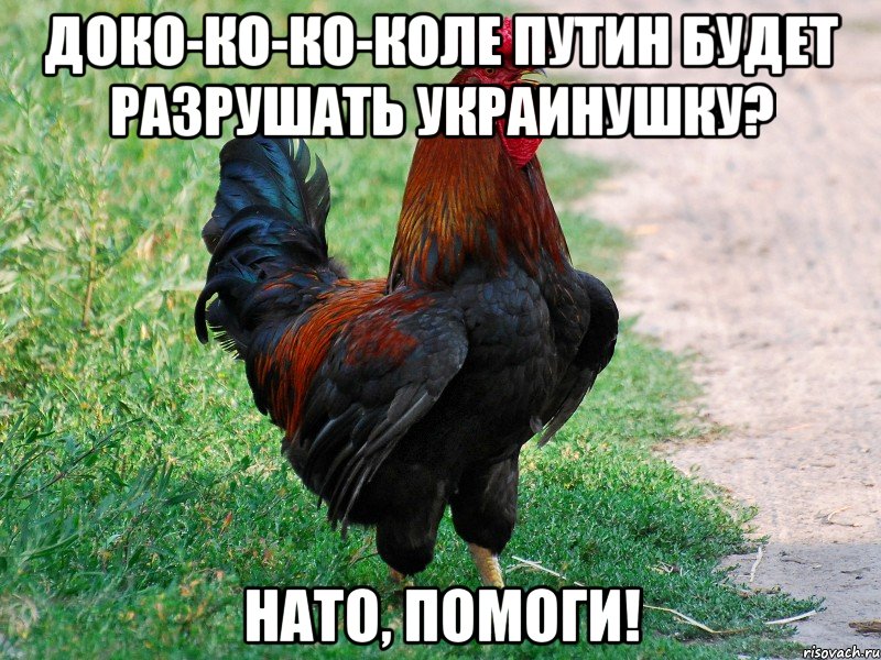 ДОКО-КО-КО-КОЛЕ ПУТИН БУДЕТ РАЗРУШАТЬ УКРАИНУШКУ? НАТО, ПОМОГИ!