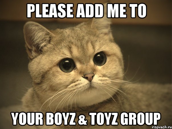 Please add me to your Boyz & Toyz Group, Мем Пидрила ебаная котик