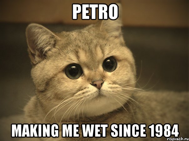 Petro Making me wet since 1984, Мем Пидрила ебаная котик