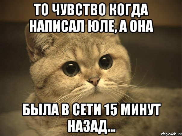 То чувство когда написал Юле, а она Была в сети 15 минут назад..., Мем Пидрила ебаная котик