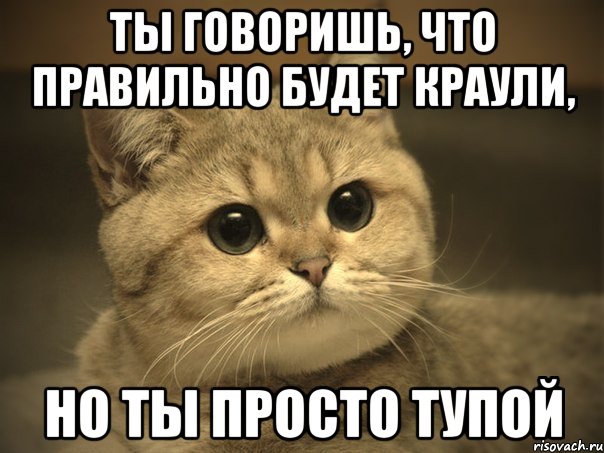 Ты говоришь, что правильно будет Краули, Но ты просто тупой, Мем Пидрила ебаная котик