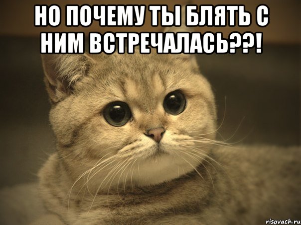 Но почему ты блять с ним встречалась??! , Мем Пидрила ебаная котик