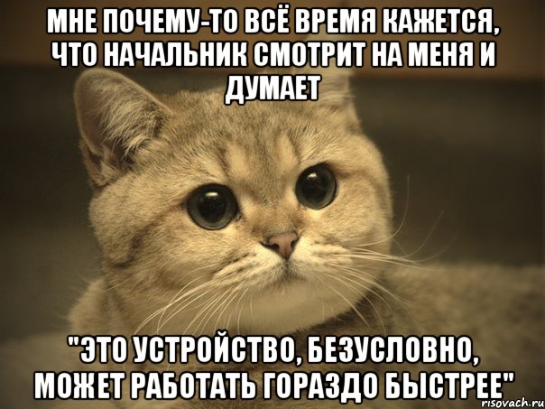 Мне почему-то всё время кажется, что начальник смотрит на меня и думает "Это устройство, безусловно, может работать гораздо быстрее", Мем Пидрила ебаная котик