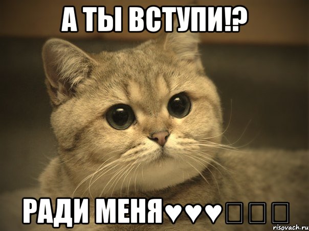 А ты вступи!? Ради меня♥♥♥♡♡♡, Мем Пидрила ебаная котик