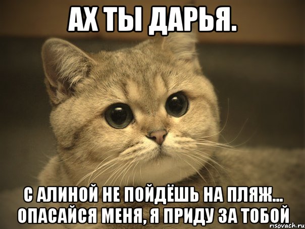 Ах ты Дарья. С Алиной не пойдёшь на пляж... Опасайся меня, я приду за тобой, Мем Пидрила ебаная котик